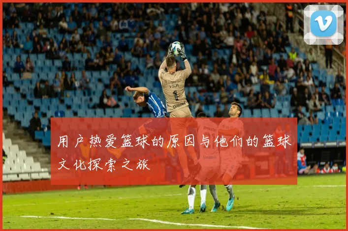 用户热爱篮球的原因与他们的篮球文化探索之旅