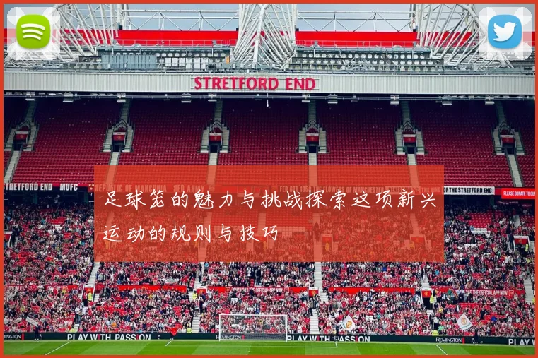 足球笼的魅力与挑战探索这项新兴运动的规则与技巧