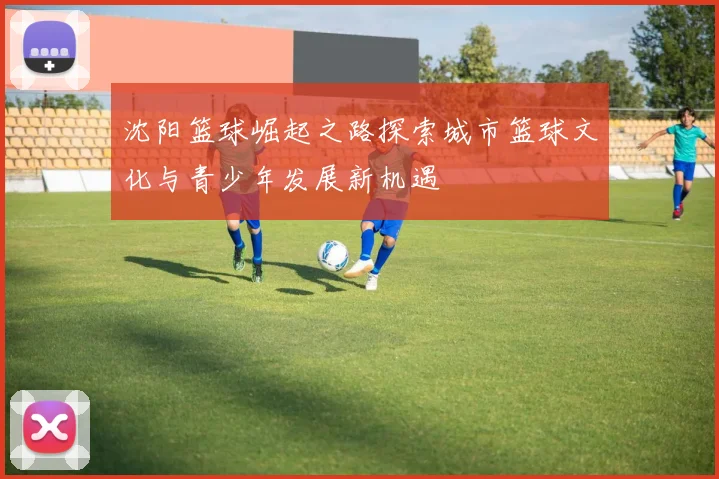 沈阳篮球崛起之路探索城市篮球文化与青少年发展新机遇