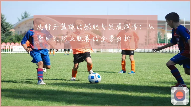 鹿特丹篮球的崛起与发展探索：从青训到职业联赛的全景分析